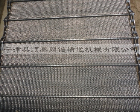 宜昌人字型链条网带